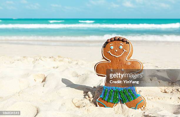 christmas ginger bread man winter vacation on caribbean beach - caribbean christmas 個照片及圖片檔