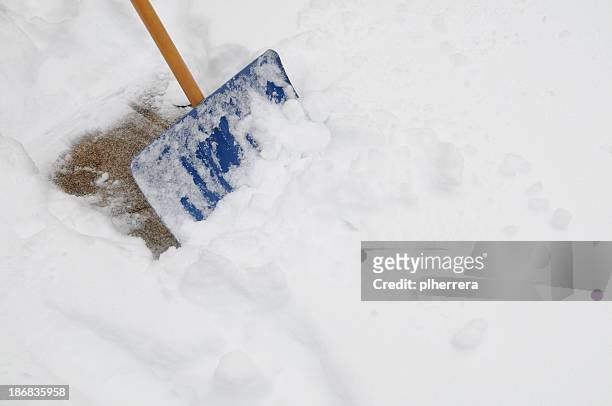 shovel removing snow - shoveling driveway stock pictures, royalty-free photos & images