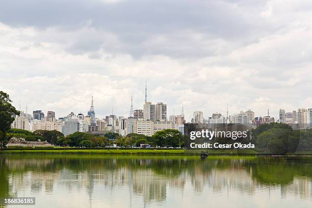 sao paulo cityscape - ibirapuera park stockfoto's en -beelden