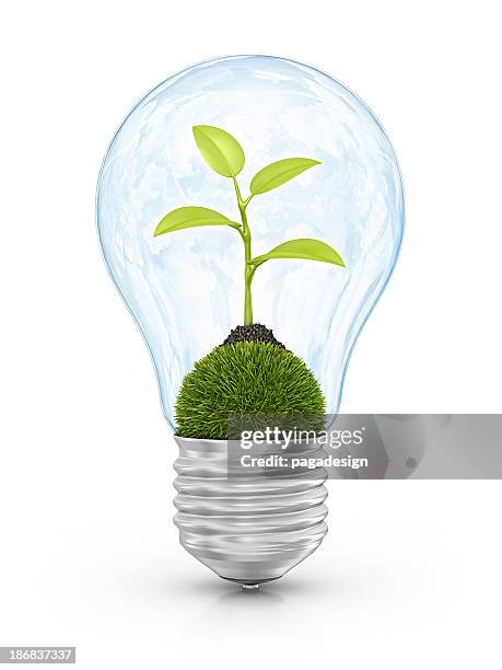 eco-glühbirne - grass pile white background stock-fotos und bilder