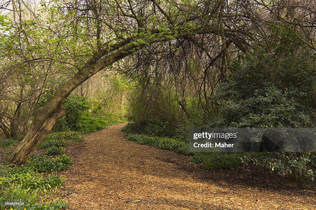 Walk In The Park