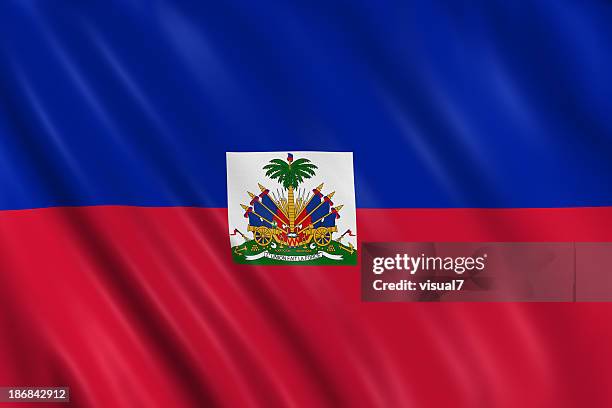bandera de haití - haití fotografías e imágenes de stock