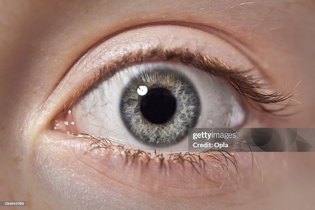 Eye of a young girl