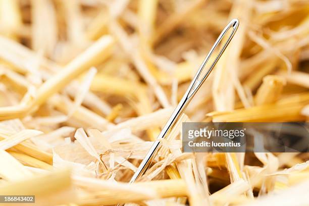 のニードル、ヘイスタック - needle in a haystack 英語の慣用句 ストックフォトと画像