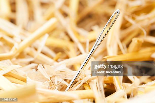 Digging Needle Hay Stack Hay Stack Needle Photos and Premium High Res Pictures - Getty Images