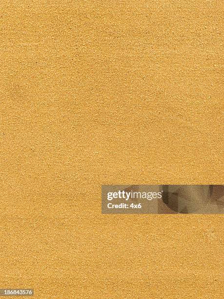 detailed scan of sandpaper - sandpapper bildbanksfoton och bilder