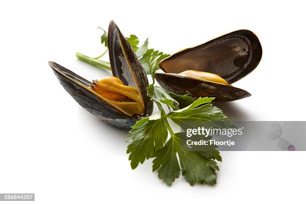 frutos do mar: mexilhões - mussel - fotografias e filmes do acervo