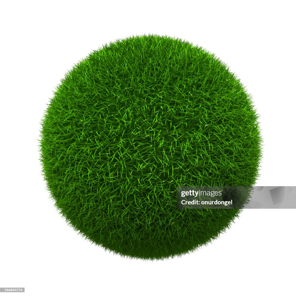 Grass formed into a sphere and isolated on white