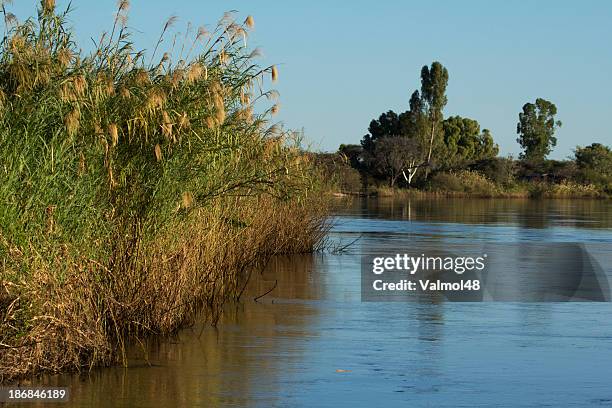 evening on the kavango river, namibia - kavango river stock pictures, royalty-free photos & images