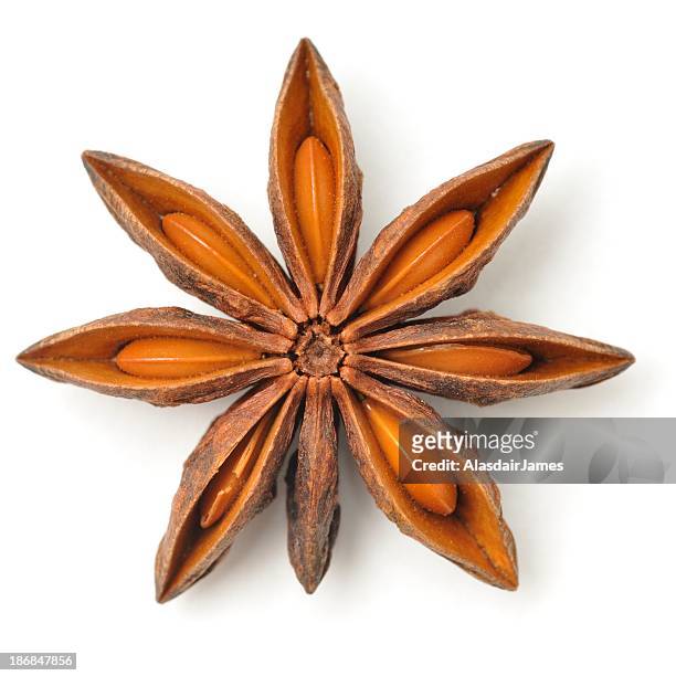 star anise pod - anise plant stock pictures, royalty-free photos & images