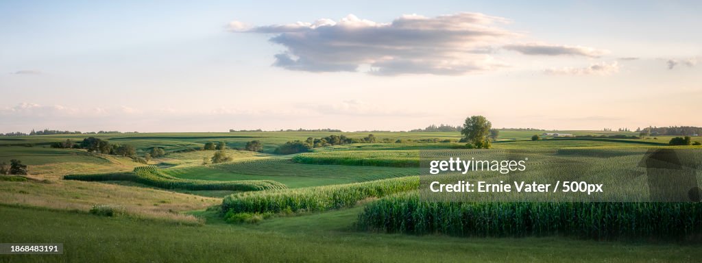 Scenic view of agricultural field against sky,Minnesota,United States,USA