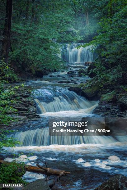 scenic view of waterfall in forest,ricketts glen state park,pennsylvania,united states,usa - ricketts glen state park stock pictures, royalty-free photos & images