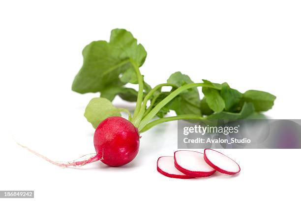 radish fresh - radijs stockfoto's en -beelden
