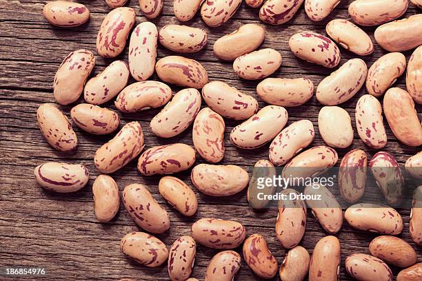pinto bean - pinto bean stock pictures, royalty-free photos & images