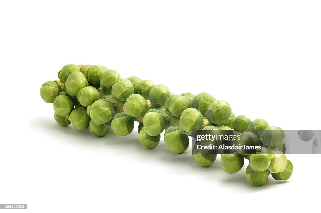 Sprouts on a Stalk