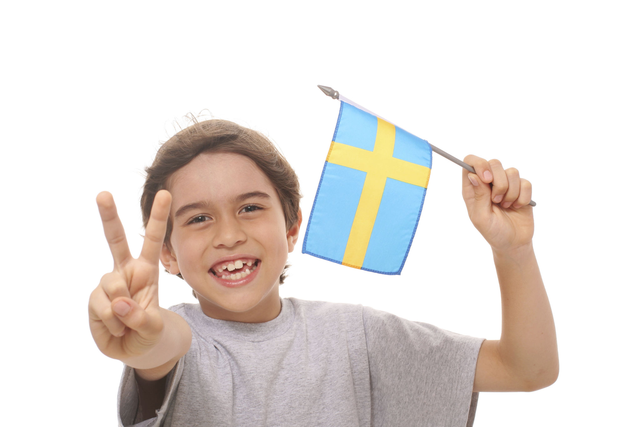 child custody Sweden