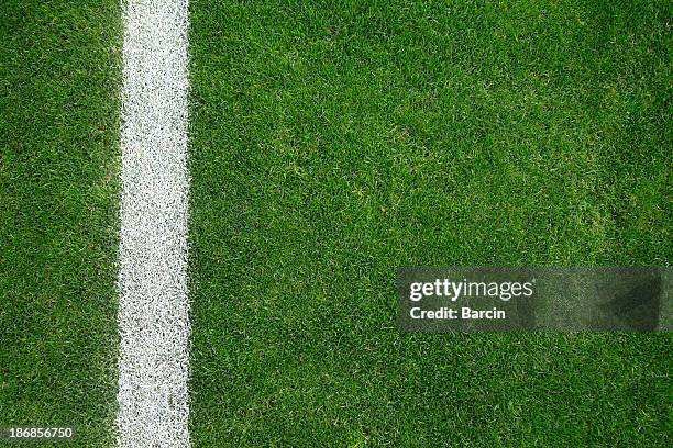 soccer field - grass and lawns stock pictures, royalty-free photos & images