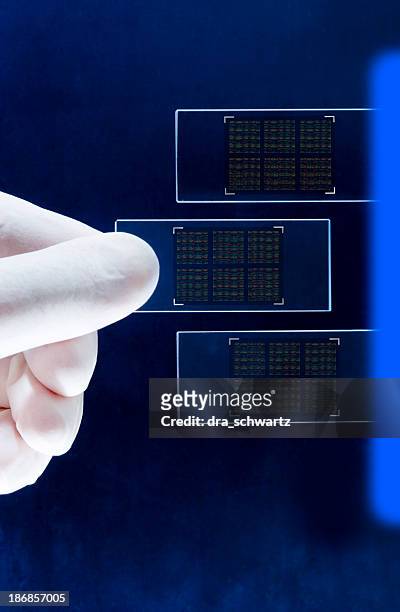 dna-chip nanotechnologie - genome sequencing stock-fotos und bilder