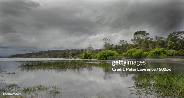 scenic view of lake against sky,gippsland,victoria,australia - gippsland lakes stock pictures, royalty-free photos & images