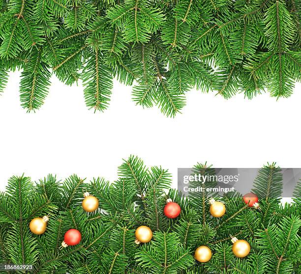 fir tree border background - spruce twig stock pictures, royalty-free photos & images