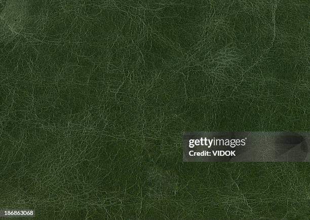 green leather. - animal skin stockfoto's en -beelden