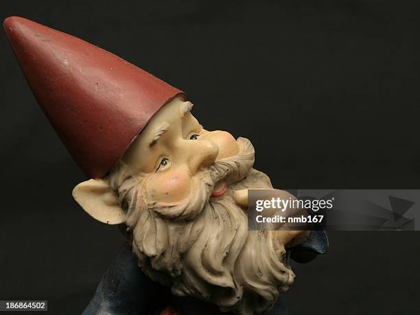 the gnome - garden gnome stock pictures, royalty-free photos & images