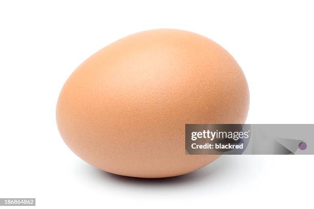 egg - animal egg stock pictures, royalty-free photos & images