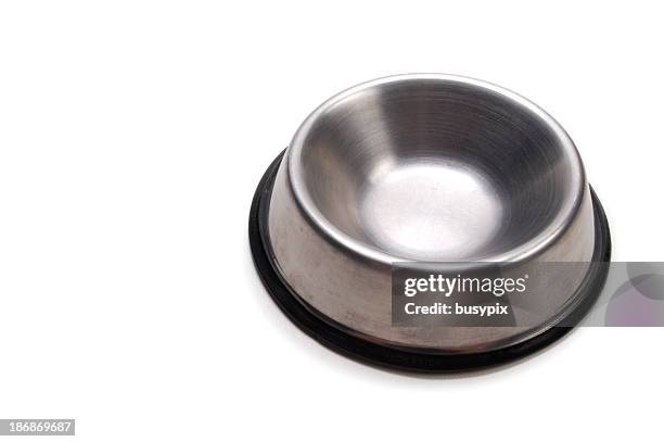 perro plato vacío - recipiente para la comida del animal fotografías e imágenes de stock