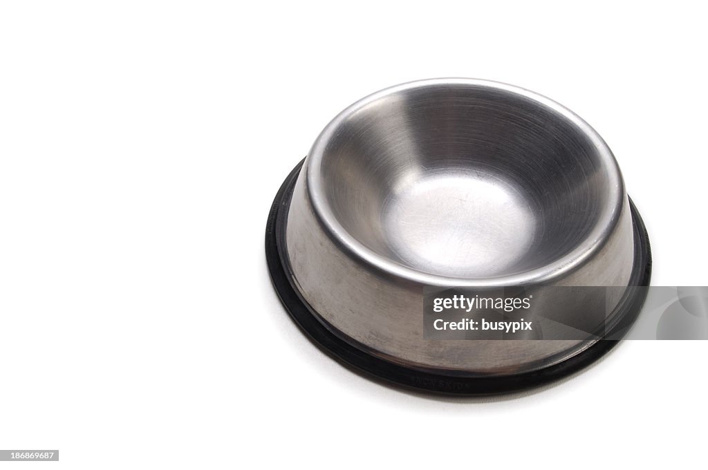 Empty Dog Dish