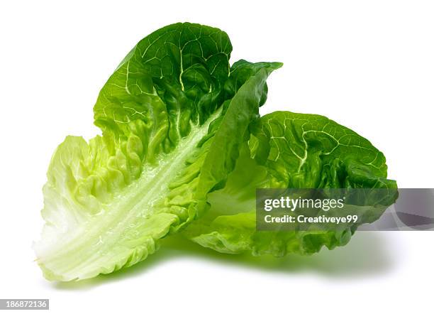 romaine lettuce leaf - lettuce stock pictures, royalty-free photos & images