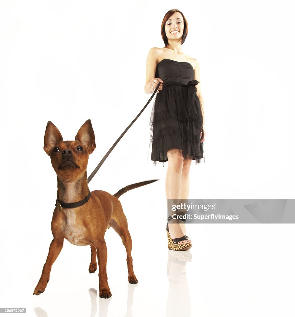 Cute Chihuahua being Walked on Leash by Pretty Young Woman