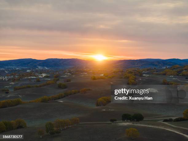 grassland sunrise - aerial top view steppe stock pictures, royalty-free photos & images