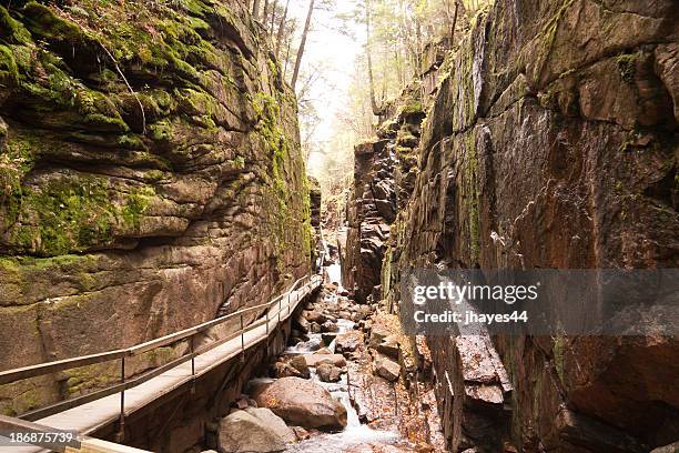 franconia flume - ravine stock pictures, royalty-free photos & images