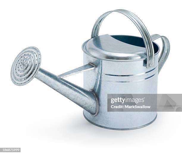 watering can - watering can stock pictures, royalty-free photos & images