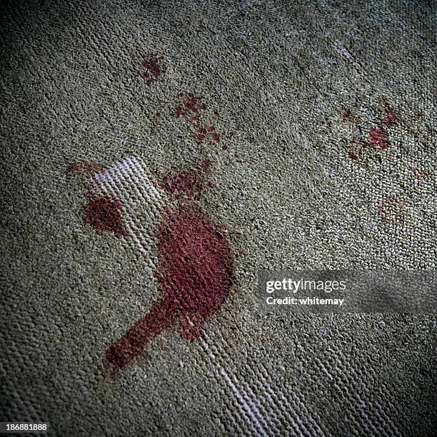 blood on the carpet - crime scene stock pictures, royalty-free photos & images
