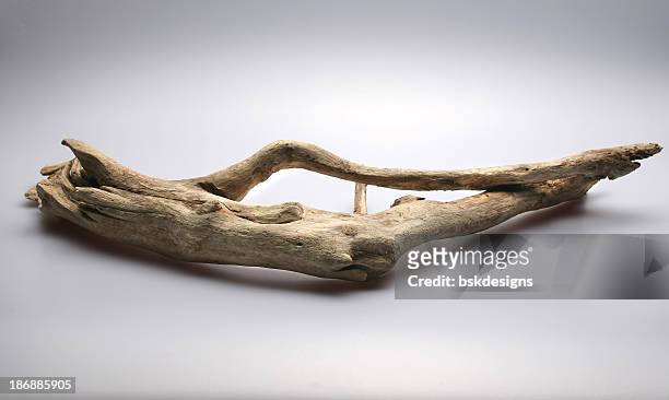 legname trasportato dalla corrente - driftwood foto e immagini stock