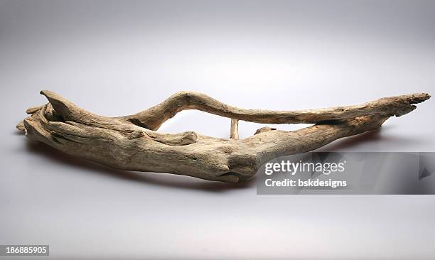 829 Driftwood Branch Stock Photos, High-Res Pictures, and Images - Getty  Images