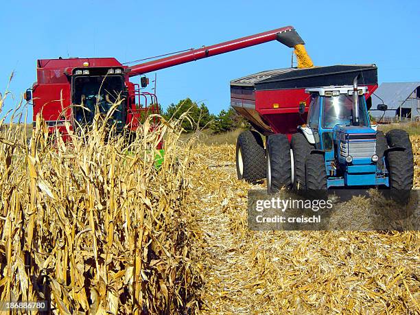 2,570 Fodder Crop Stock Photos, High-Res Pictures, and Images - Getty ...