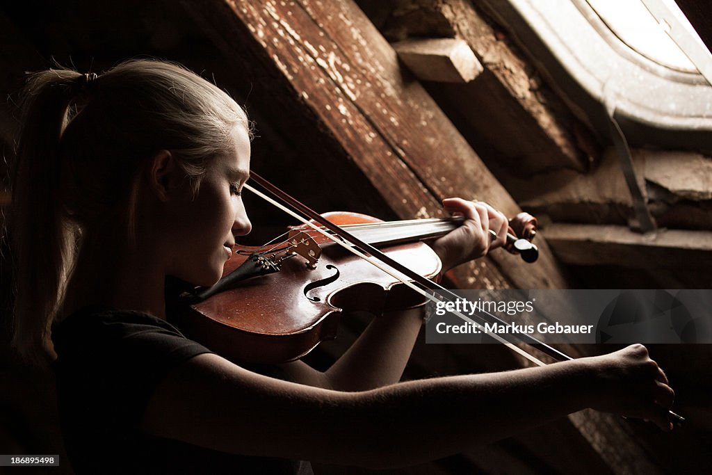 Attic violin