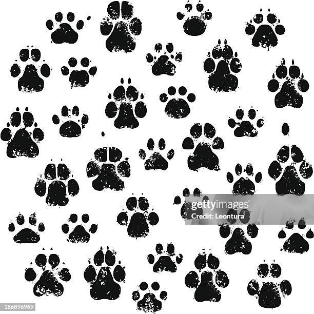 ilustrações de stock, clip art, desenhos animados e ícones de gato e cachorro pata impressões - pegada de pata de animal
