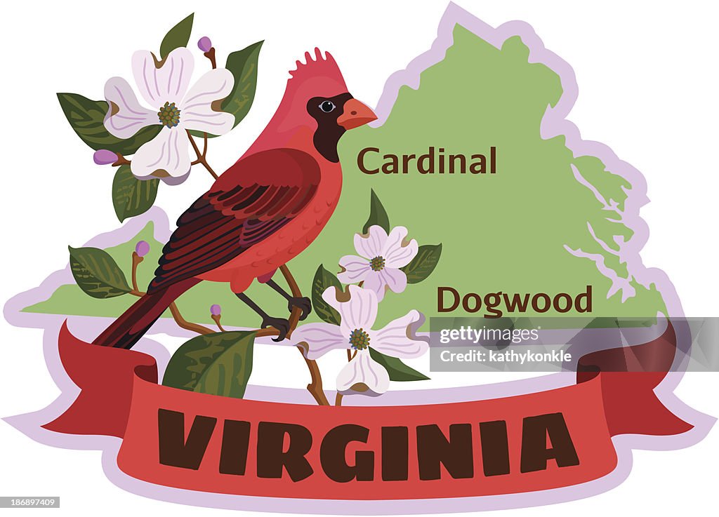 Virginia state Vogel der cardinal