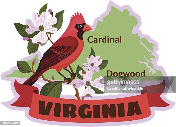 ilustraciones, imágenes clip art, dibujos animados e iconos de stock de pájaro cardenal el estado de virginia - virginia