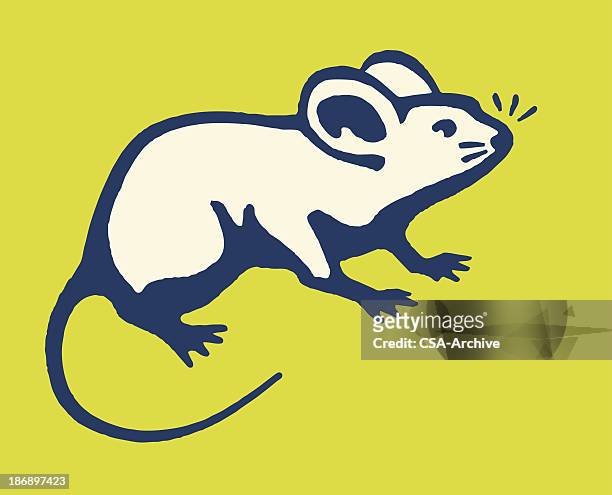 mouse - rat 幅插畫檔、美工圖案、卡通及圖標