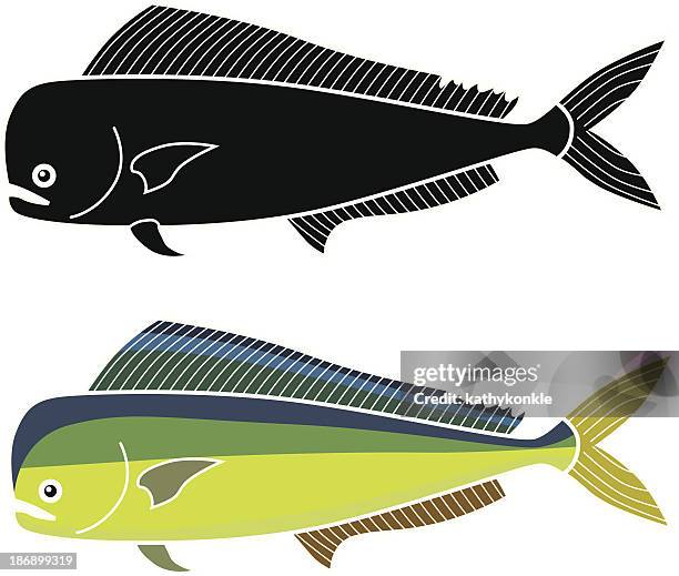 ilustraciones, imágenes clip art, dibujos animados e iconos de stock de mahimahi - dolphin fish