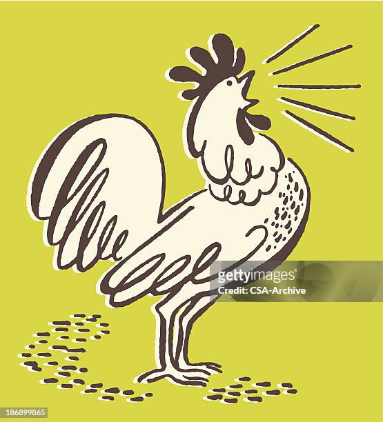 ilustraciones, imágenes clip art, dibujos animados e iconos de stock de squawking gallo - gallina