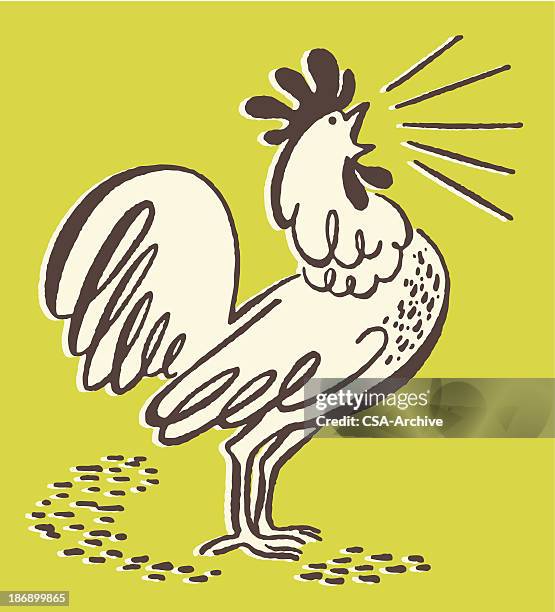 bildbanksillustrationer, clip art samt tecknat material och ikoner med squawking rooster - hönsfågel