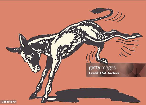 stockillustraties, clipart, cartoons en iconen met donkey kicking - mules