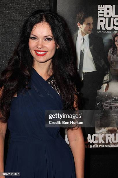 Actress Natasha Blasick attend the "Black Russian" Filmmakers VIP Reception and special screening at Arena Cinema Hollywood on November 4, 2013 in...