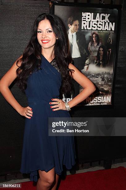 Actress Natasha Blasick attend the "Black Russian" Filmmakers VIP Reception and special screening at Arena Cinema Hollywood on November 4, 2013 in...