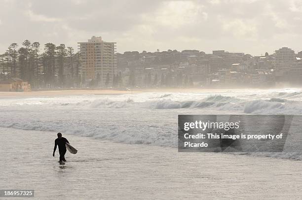 surfer going out of the water at manly beach - manly beach stock-fotos und bilder